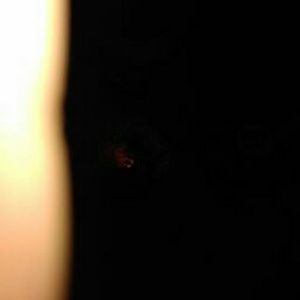 Meet your Posher, Griselda